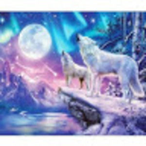 Meet your Posher, Van